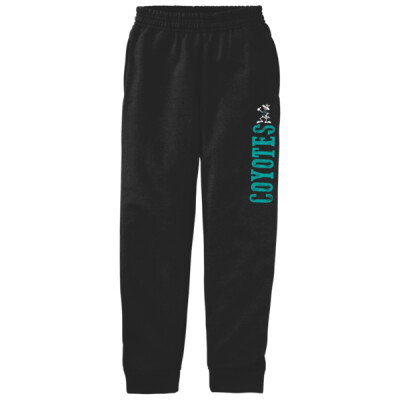 Youth Fleece Jogger Pant Thumbnail